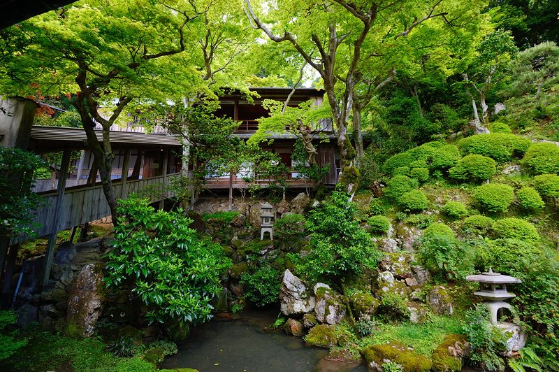GW特別公開「上書院から眺める名勝庭園」@楊谷寺 其の二 _f0032011_1840372.jpg