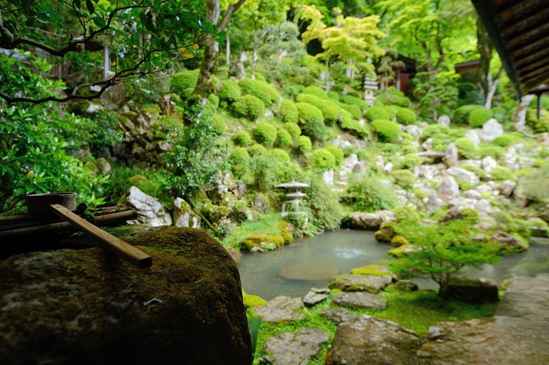 GW特別公開「上書院から眺める名勝庭園」@楊谷寺 其の二 _f0032011_18422384.jpg