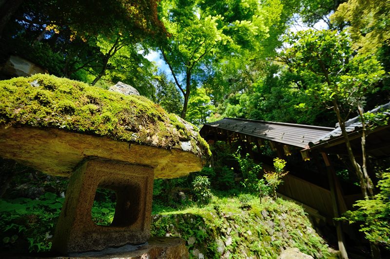 GW特別公開「上書院から眺める名勝庭園」@楊谷寺 其の二 _f0032011_1844197.jpg