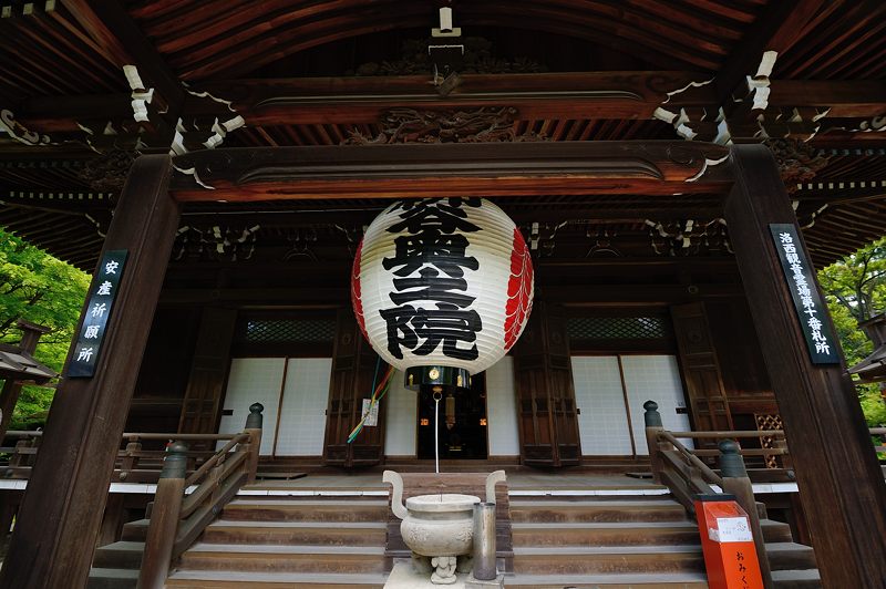 GW特別公開「上書院から眺める名勝庭園」@楊谷寺 其の二 _f0032011_18445971.jpg