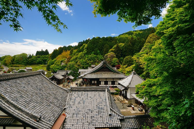 GW特別公開「上書院から眺める名勝庭園」@楊谷寺 其の二 _f0032011_18452057.jpg