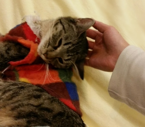 e0144012_19101928.jpeg