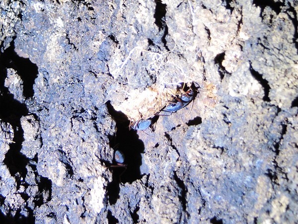 c0346119_17285080.jpg