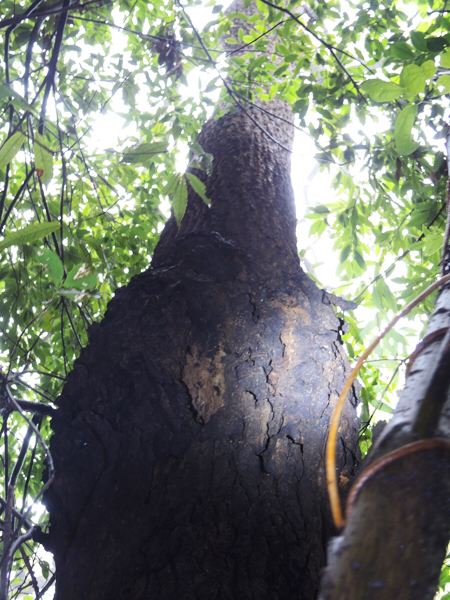 c0346119_17285091.jpg