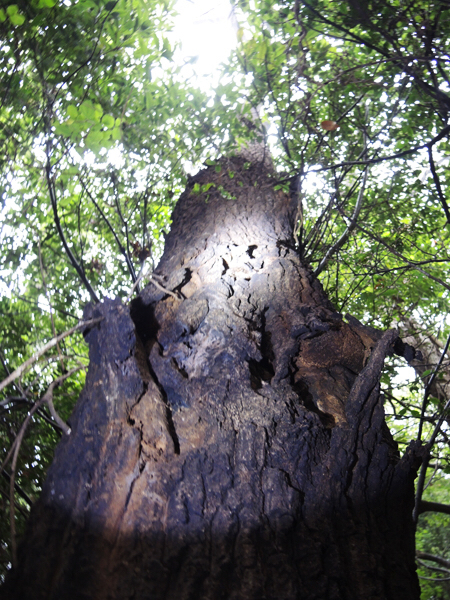 c0346119_17285115.jpg