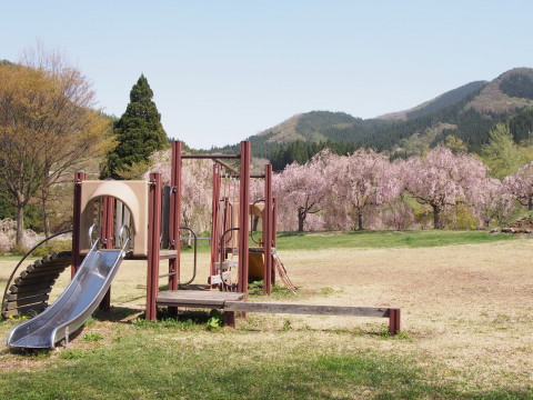 あじゃら公園わんぱく広場（大鰐町）の桜*2016.05.07_b0147224_132141.jpg