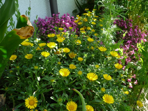 c0117525_20512997.jpg