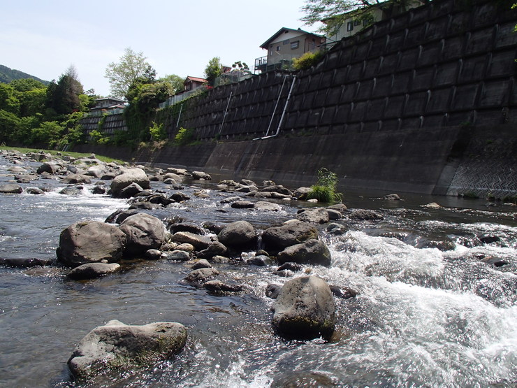 d0172227_7292227.jpg