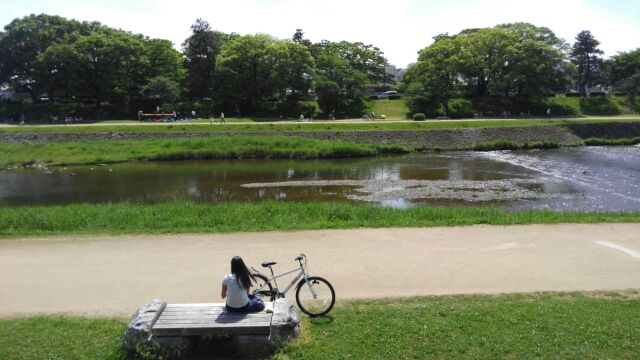 京都府立植物園へ　その4_f0054428_14542298.jpg