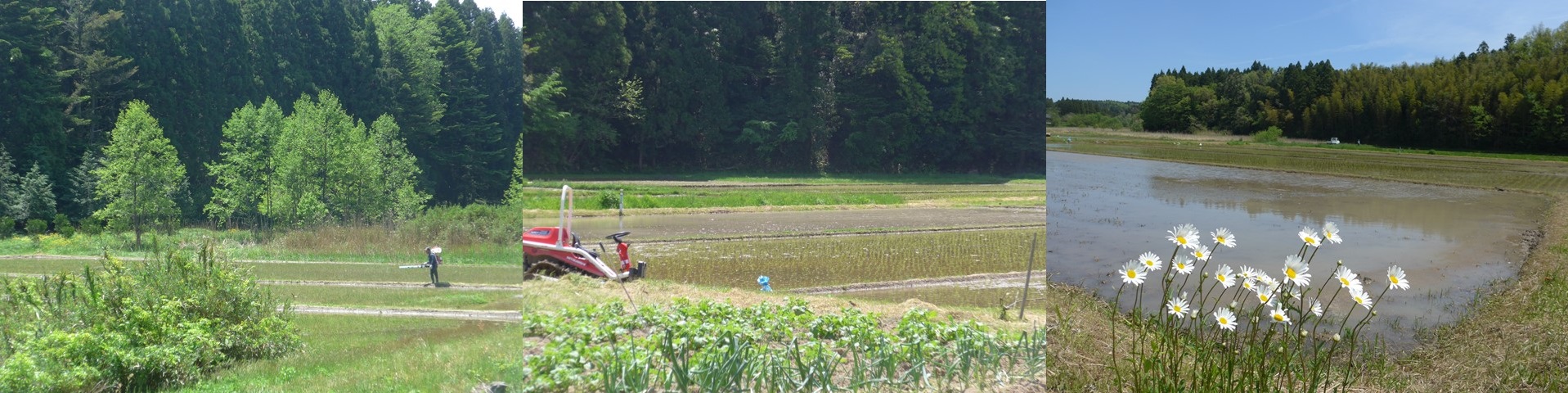 ふれあい看護体験と五月晴れの空の下_b0115629_17533356.jpg