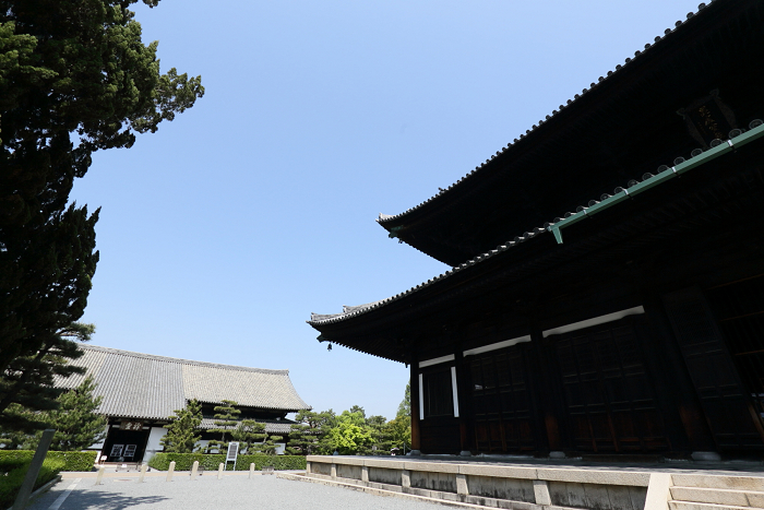 春の京都禅寺一斉拝観 東福寺 法堂 禅堂 memory of kyotolife 春の京都禅寺一斉拝観 東福寺 法堂 禅堂 memory of kyotolife