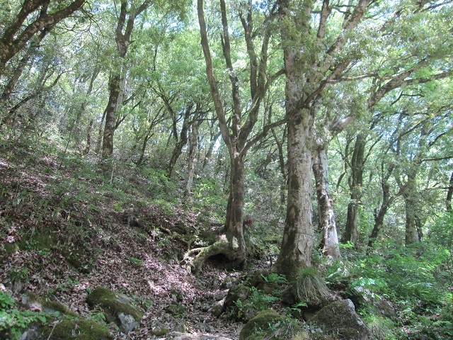 神鍋高原（兵庫） その一_f0231831_17470107.jpg