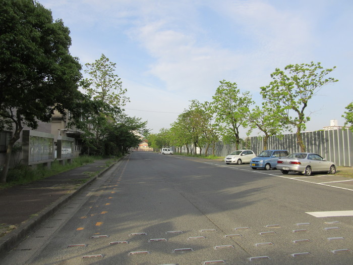 b0014732_805160.jpg