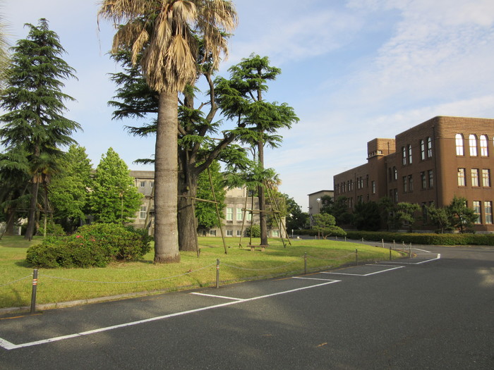 b0014732_822593.jpg