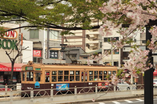 【鉄道旅行記】 ラストシーズンの広島市民球場へ_a0338635_6451418.jpg