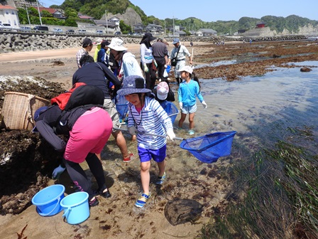 岩船で磯の生き物観察をしよう_a0123836_14491144.jpg