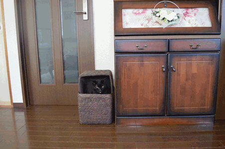 c0136736_1154594.gif