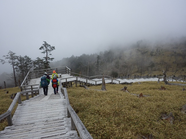 近畿の山・大台ヶ原へ_e0164643_11341696.jpg