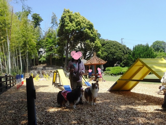 伊豆旅行3日目愛犬の駅_e0195743_4433776.jpg