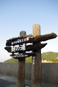 f0045846_7423784.jpg