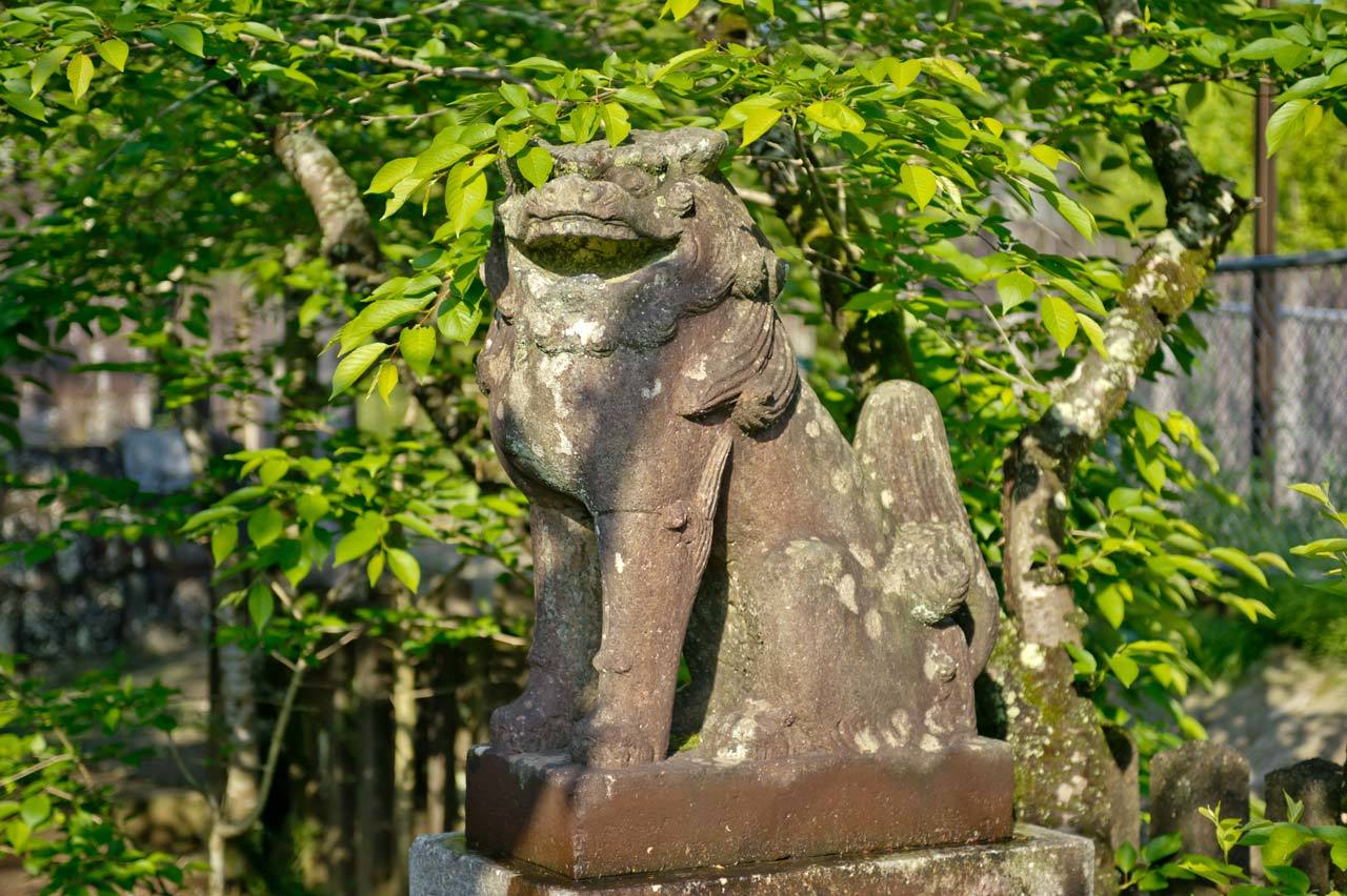 許斐神社　福岡県飯塚市赤坂_b0023047_04453372.jpg