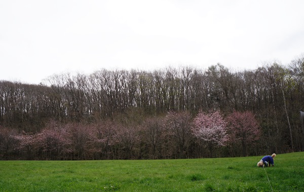 b0256148_22171674.jpg