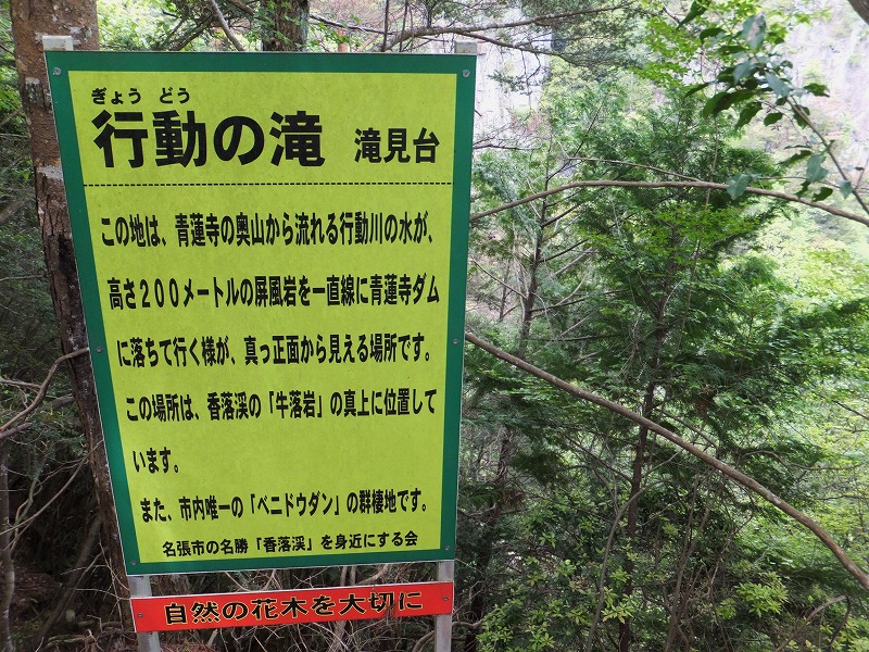 d0048350_19425735.jpg