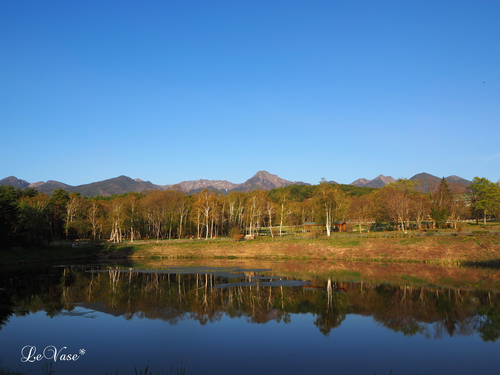 ワンズワース　原村　信州旅行part3_e0158653_155127.jpg