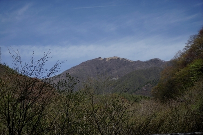 秀麗富嶽十二景　雁ヶ腹摺山　2016.04.25(月)_f0344554_07290227.jpg