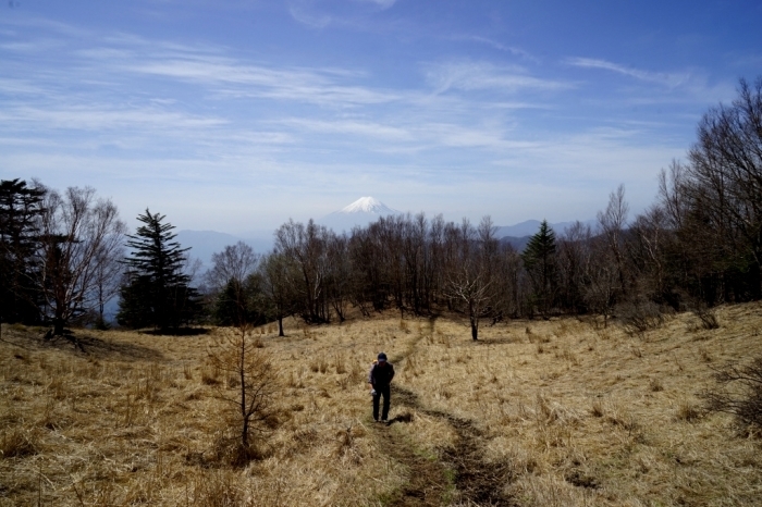 秀麗富嶽十二景　雁ヶ腹摺山　2016.04.25(月)_f0344554_07295476.jpg