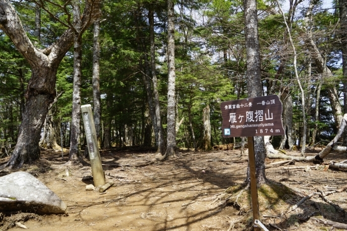 秀麗富嶽十二景　雁ヶ腹摺山　2016.04.25(月)_f0344554_07300480.jpg