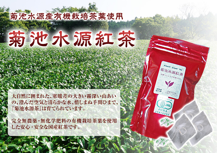 菊池水源茶　2022年の茶摘み最盛期です！まもなく新茶の販売開始です！(前編)_a0254656_19531287.jpg