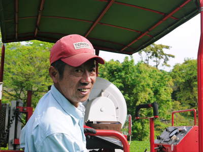 菊池水源茶 茶摘みがスタートしました!まもなく新茶の販売開始です‼_a0254656_20443859.jpg
