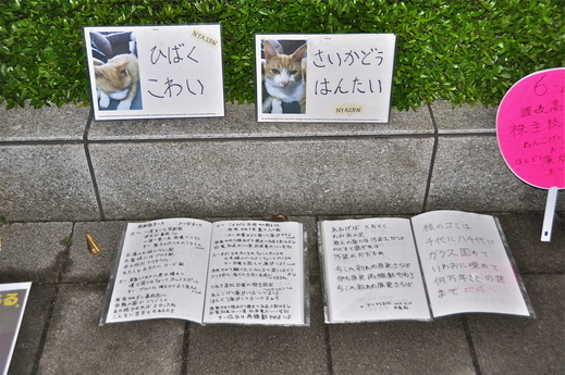 b0242956_151640.jpg