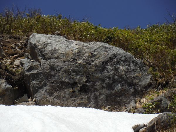 船形山北端、薬師森に蔵王権現を探す_c0294658_23072044.jpg