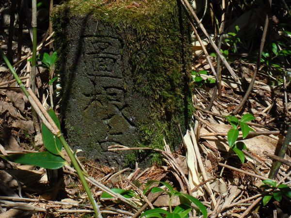 船形山北端、薬師森に蔵王権現を探す_c0294658_23242361.jpg