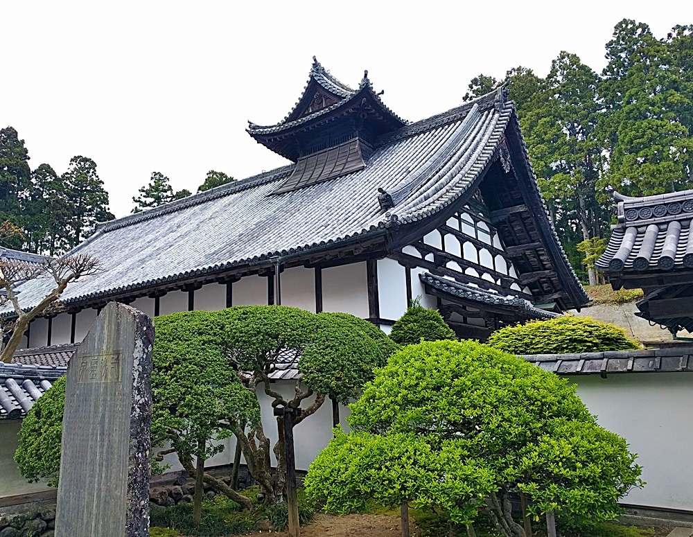 Beautiful Matsushima 1　瑞巌寺のチュウバッカ_d0039059_08353287.jpg