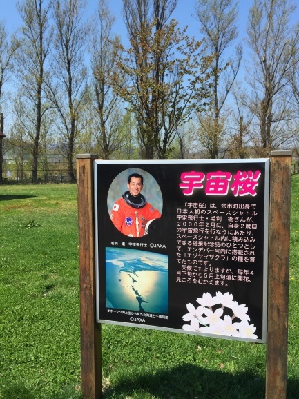 a0337860_22242045.jpeg