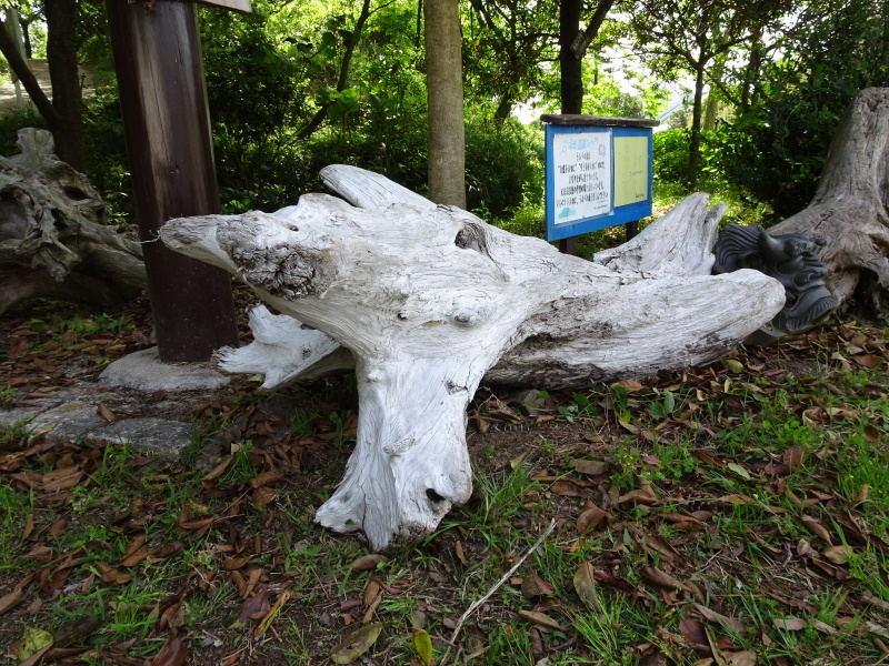 c0108460_23313160.jpg