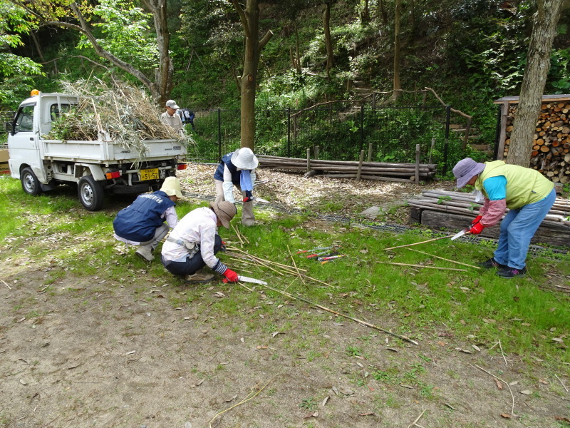 c0108460_23423536.jpg