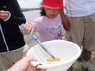 天然海水プール_c0180460_72503.jpg