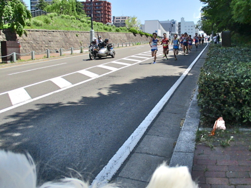 GWの締めくくりは、応援団です。_c0260460_12220192.jpg