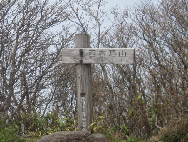 c0219866_1010059.jpg