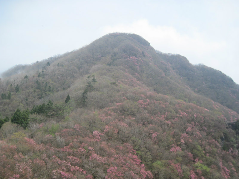c0219866_10143478.jpg