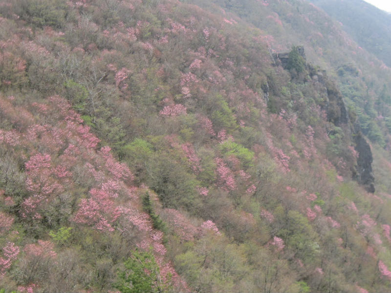 c0219866_10151248.jpg
