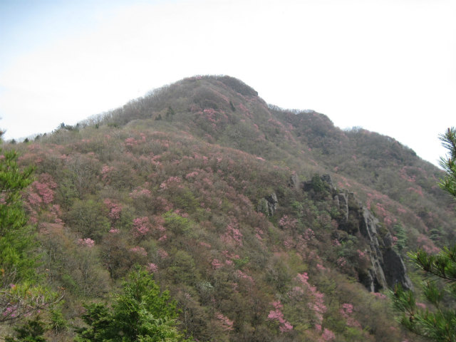 c0219866_10154285.jpg