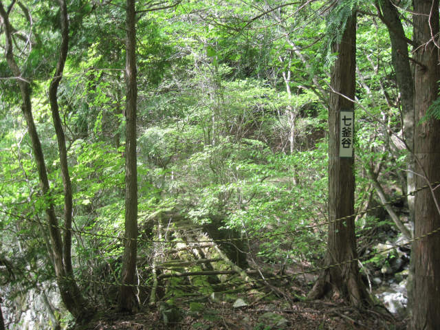c0219866_101857.jpg