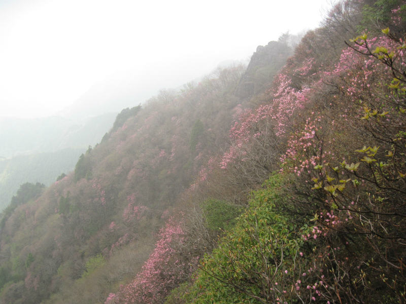 c0219866_1052943.jpg