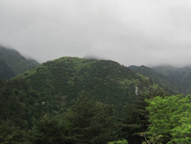 c0219866_954487.jpg