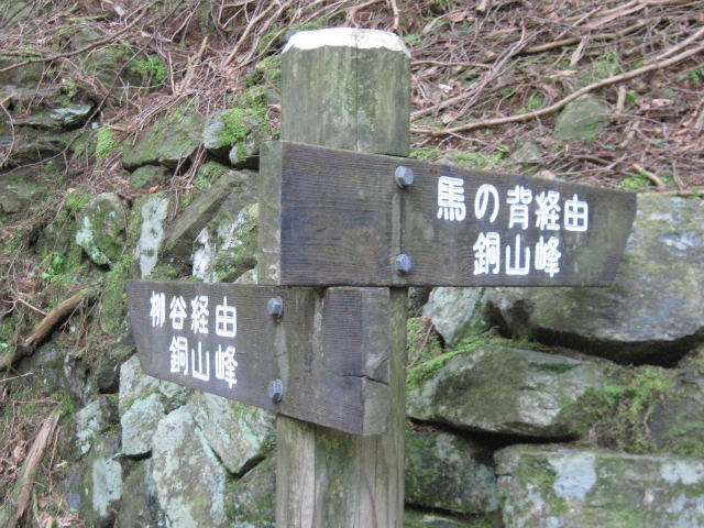 c0219866_9571596.jpg